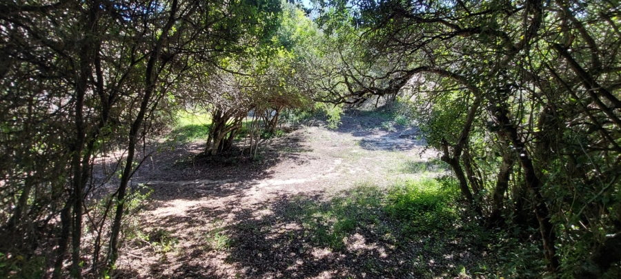 Commercial Property for Sale in Gamtoos Mouth Eastern Cape